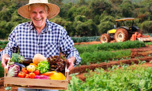 Segurança alimentar é tema de circuito da Secretaria de Agricultura e Abastecimento