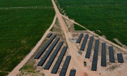 Fazenda no interior da Bahia dobra produção de soja com instalação de energia solar para irrigação e terá uma colheita a mais por ano