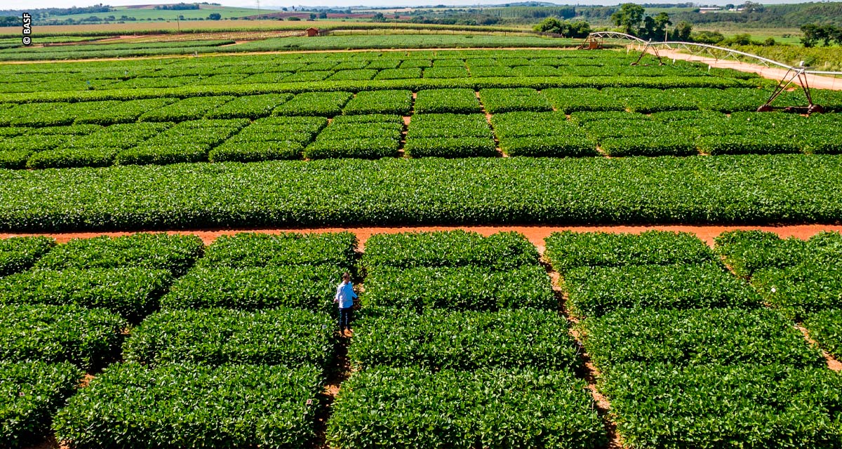 BASF avança em soluções integradas para acelerar a transformação da agricultura