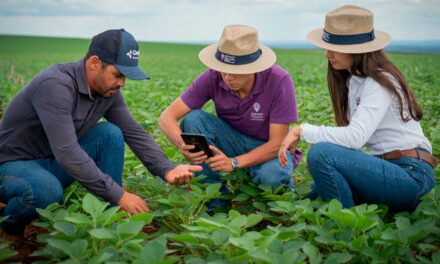 Tecnologia digitais são aliadas na gestão de custos dos insumos agrícolas