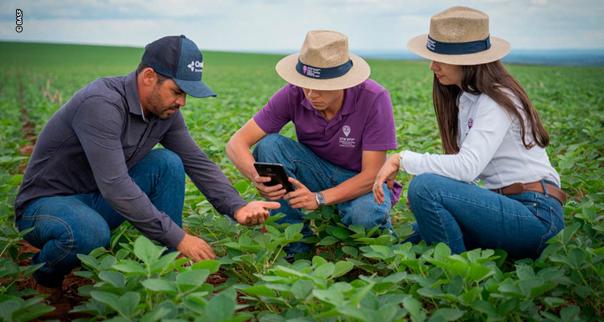 Tecnologia digitais são aliadas na gestão de custos dos insumos agrícolas