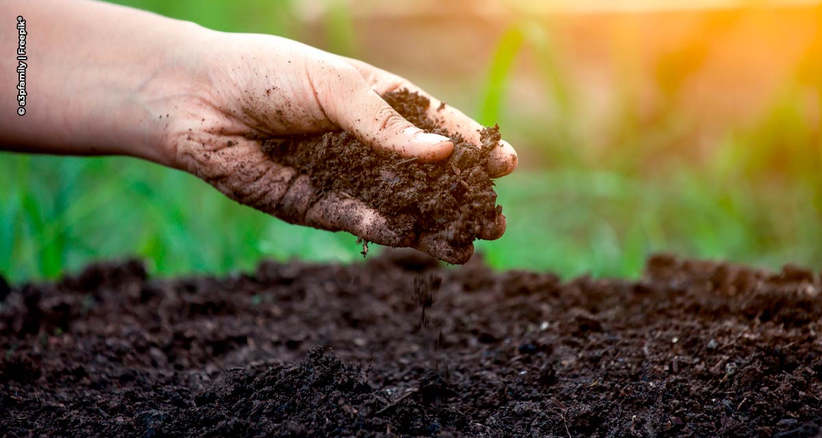 Com a queda no preço dos fertilizantes, o momento é favorável para investir na saúde do solo