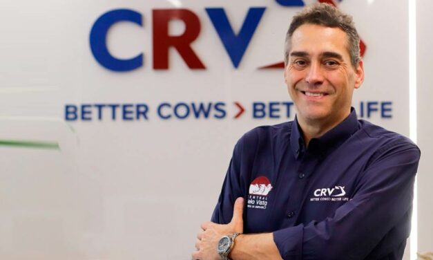 Stefan Mihailov assume presidência do Grupo CRV no Brasil