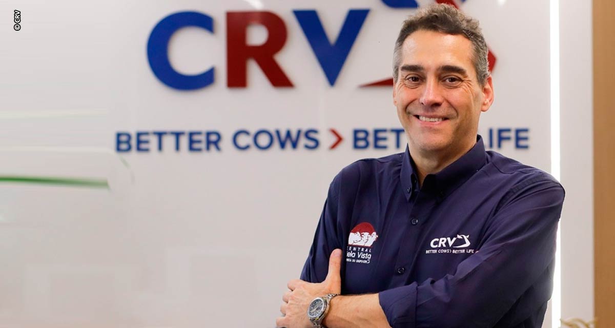 Stefan Mihailov assume presidência do Grupo CRV no Brasil