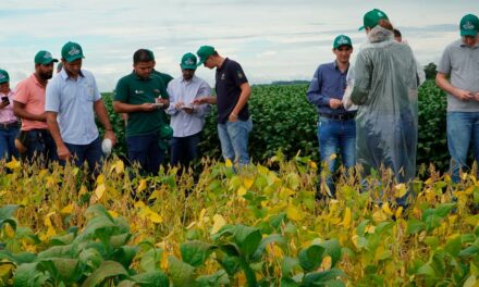 Evento técnico norteia o setor para a próxima safra de soja