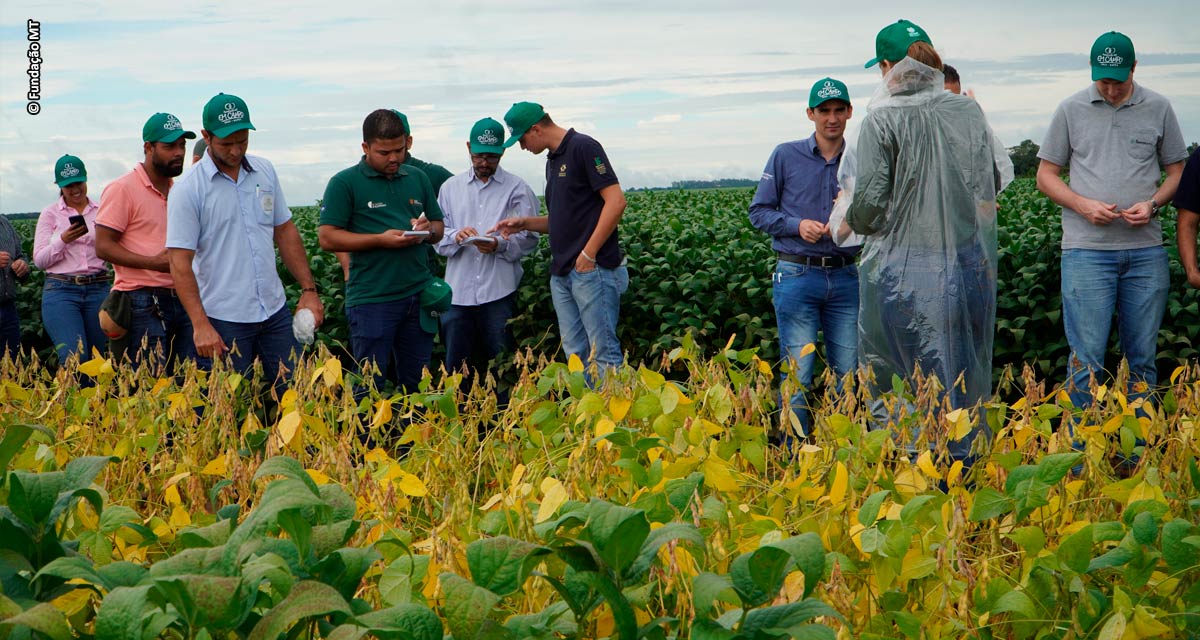 Evento técnico norteia o setor para a próxima safra de soja