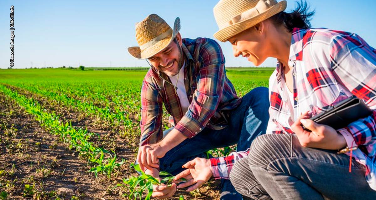 Grão Direto e Federação UNICAFES se unem para promover a comercialização digital de grãos e potencializar agricultura familiar de Goiás