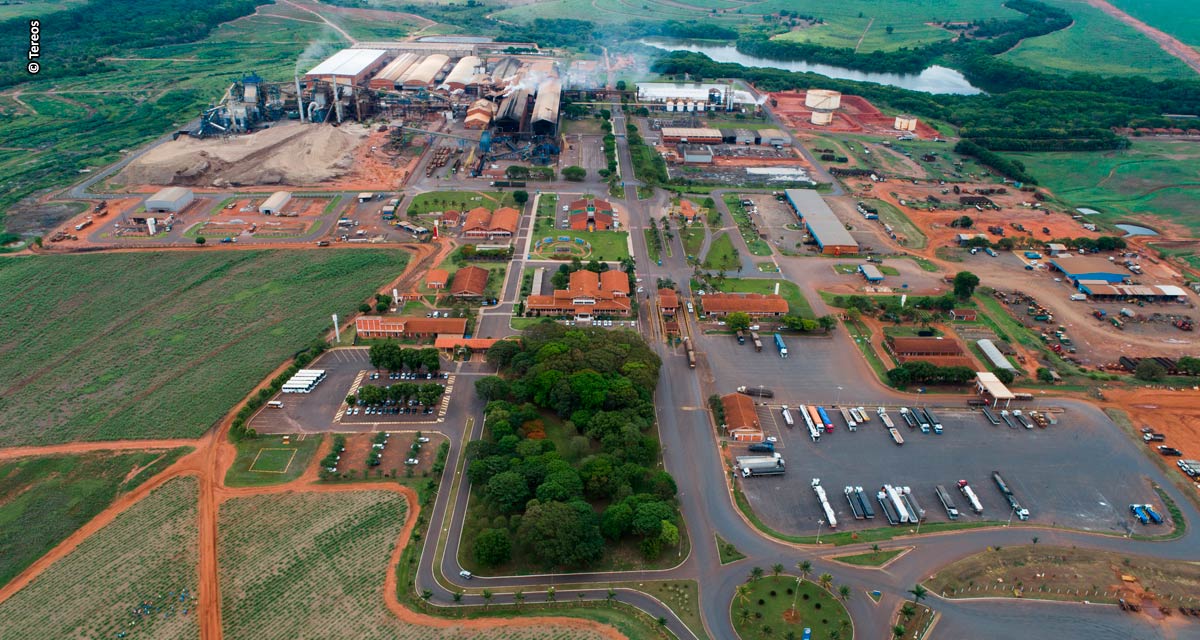 Tereos prevê crescimento de 10% na safra 23/24 e deve processar 19 milhões de toneladas de cana-de-açúcar