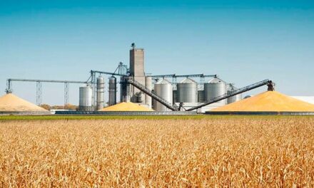 A1 Engenharia entra para o mercado de etanol de milho