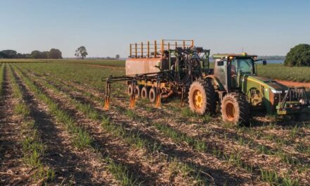 Iniciativas de sucesso em agricultura regenerativa são destaques da BP Bunge no Canabio 2023