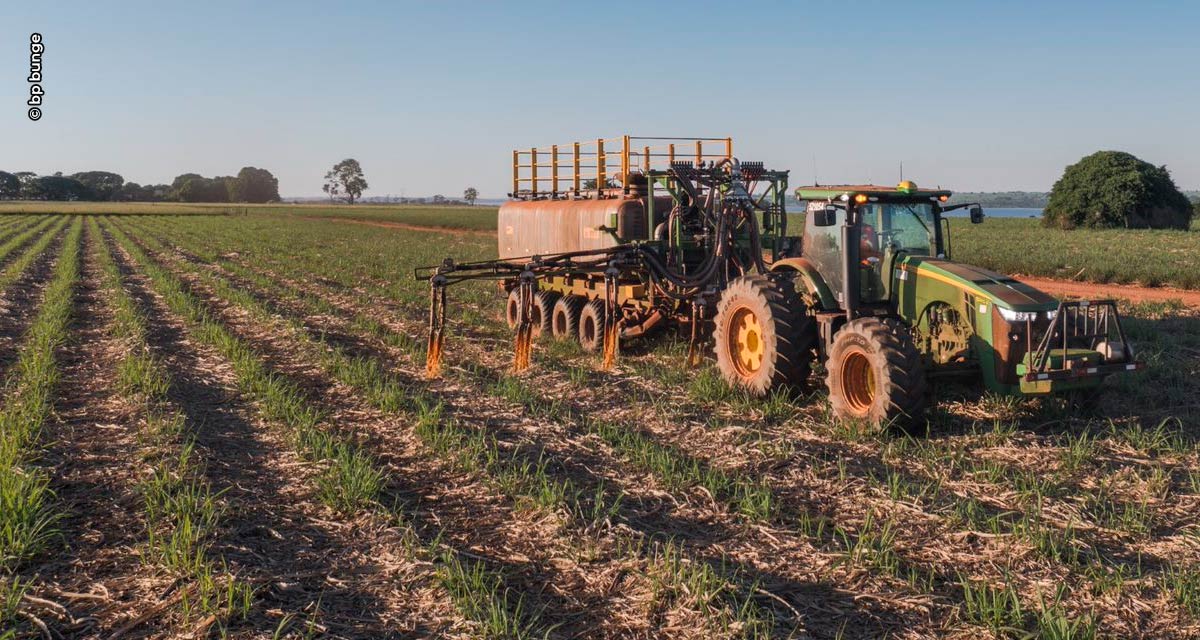 Iniciativas de sucesso em agricultura regenerativa são destaques da BP Bunge no Canabio 2023