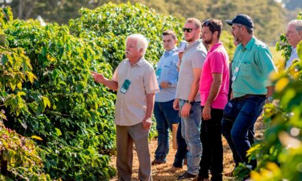 Dia de Campo reúne especialistas e produtores em programação sobre avanços na cafeicultura