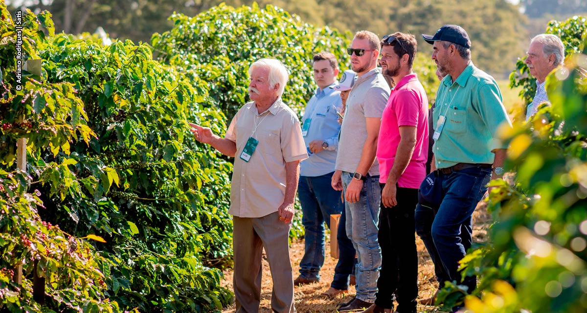 Dia de Campo reúne especialistas e produtores em programação sobre avanços na cafeicultura