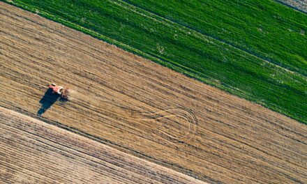 TMF Fertilizantes lança dois novos produtos e amplia portfólio da família Isofértil Force