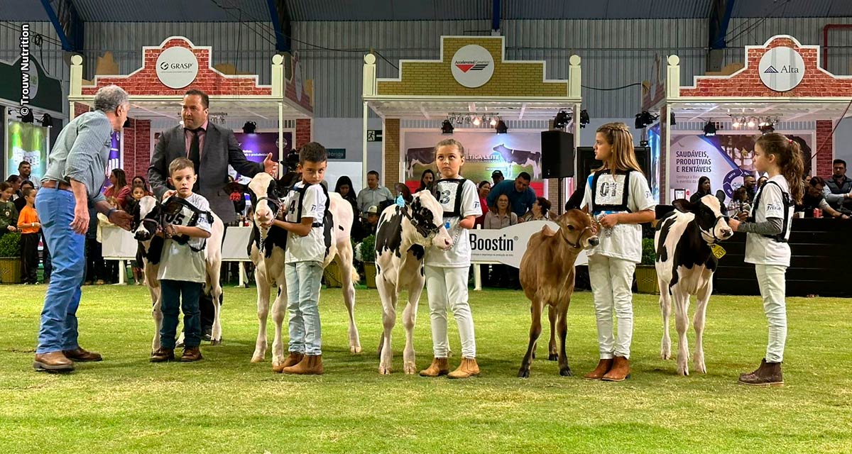 Clube de Bezerras da ExpoFrísia promove a aproximação das crianças com a pecuária leiteira