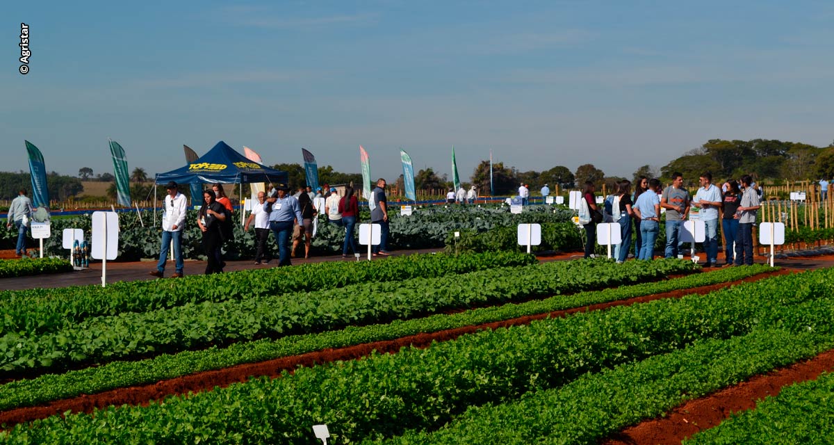 Agristar do Brasil completa 65 anos e lança novas cultivares para hortifruticultura durante a Hortitec 2023