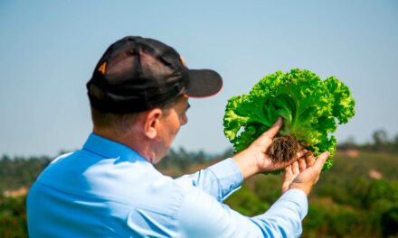 Adubos com tecnologia orgânica exclusiva aumentam eficiência na hortifruticultura