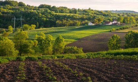 Como o Agro do Brasil pode estar em conformidade com a nova legislação europeia?