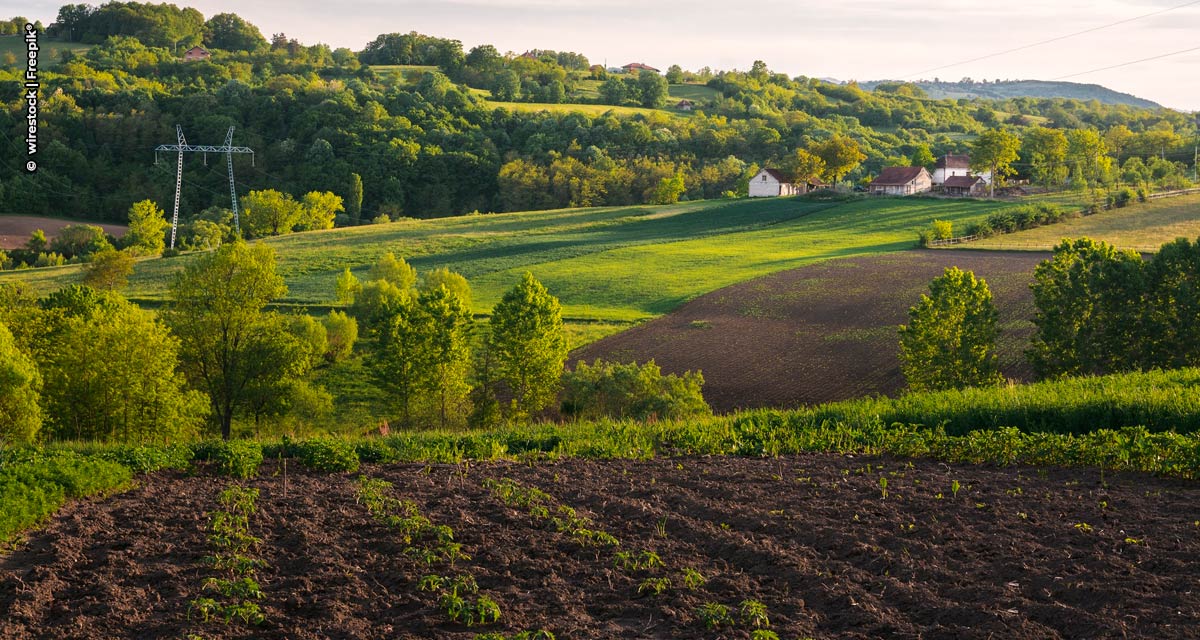 Como o Agro do Brasil pode estar em conformidade com a nova legislação europeia?