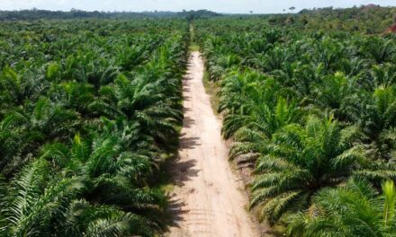 Descarbonizar a Amazônia Legal com energia limpa e renovável prevê investimento de R$ 5 bilhões