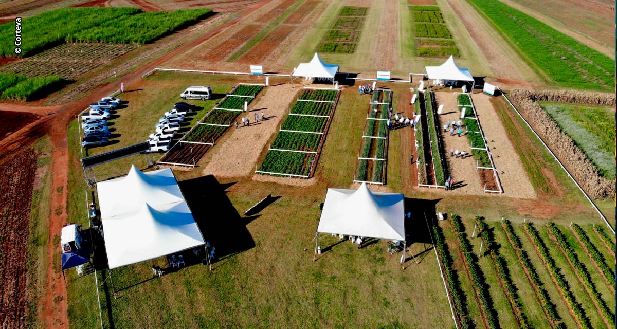 Corteva Agriscience apresenta tecnologias para maximizar a produtividade e a rentabilidade do setor de hortifrúti na Hortitec 2023