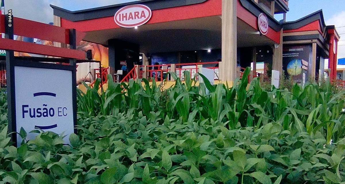 Soja: novo herbicida da Ihara já poderá ser comprado para uso nesta safra  20/21