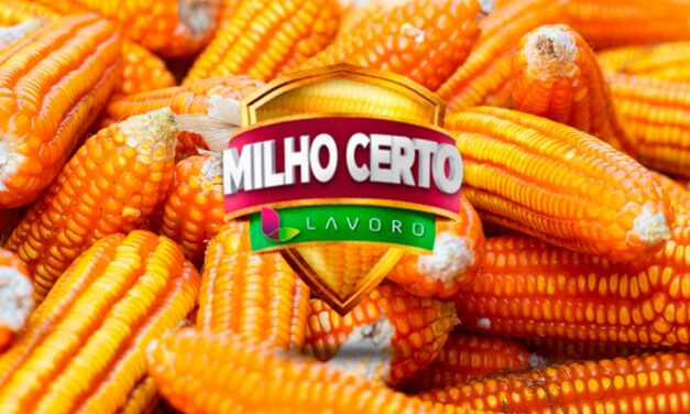 Milho Certo: Lavoro distribui mais de R$ 21 milhões em descontos para agricultores que participaram da campanha