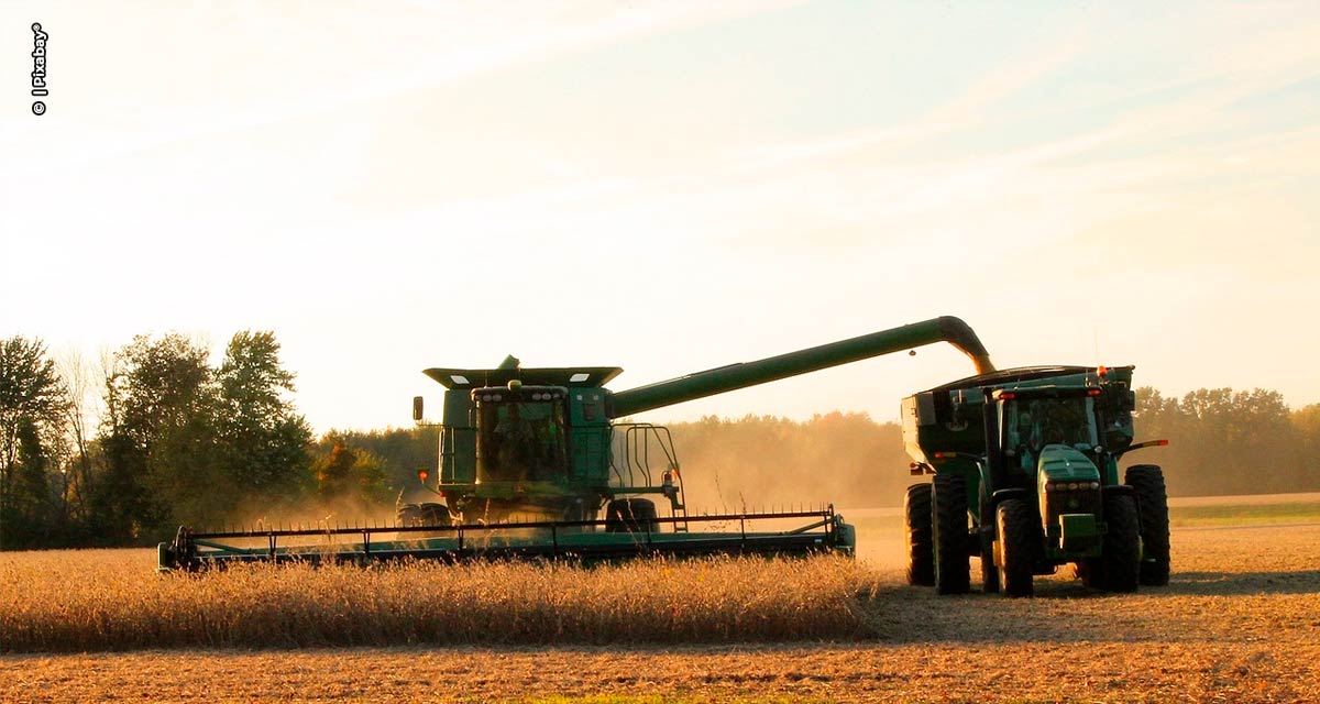 Fundos de investimentos do agro crescem no primeiro trimestre  2023