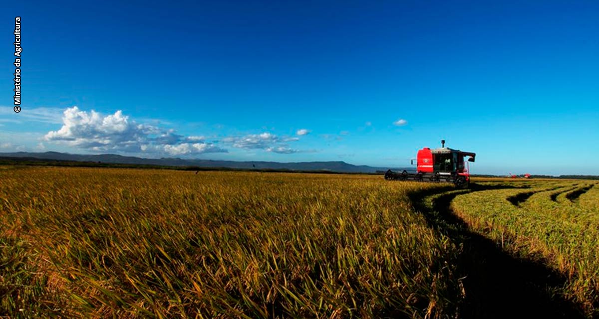 Valor Bruto da Produção Agropecuária em 2023 é estimado em R$ 1,179 trilhão