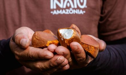 Óleos vegetais ganham investimentos na Amazônia