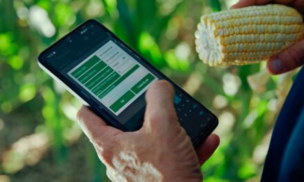 Digitalização da agricultura ajuda cooperados a ter sucesso na atividade