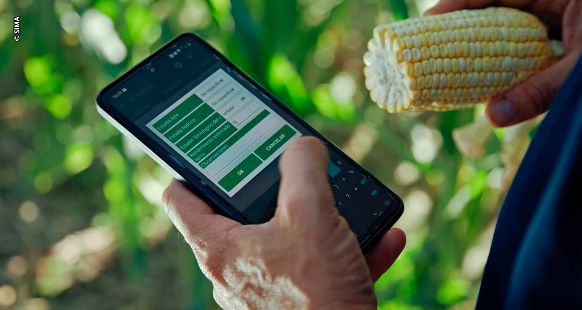 Digitalização da agricultura ajuda cooperados a ter sucesso na atividade