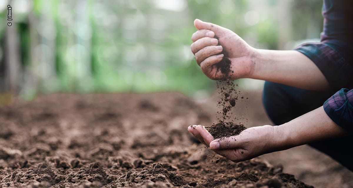 Restabelecer os sistemas naturais em áreas agrícolas é o caminho para alta produtividade