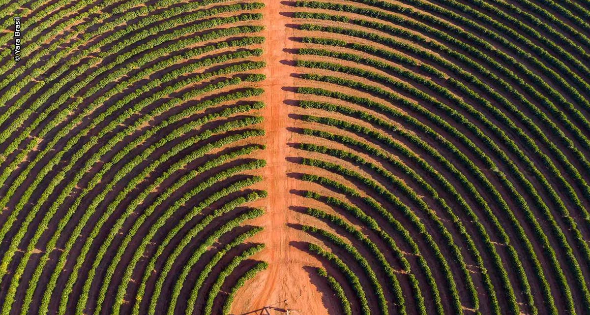 Criado pela Yara, programa de financiamento digital ‘Taló’ leva linha de crédito competitiva ao produtor rural