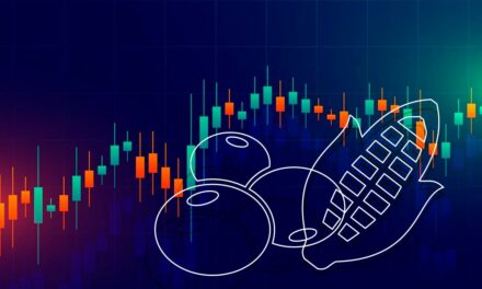 Análise de mercado agro | Soja e Milho