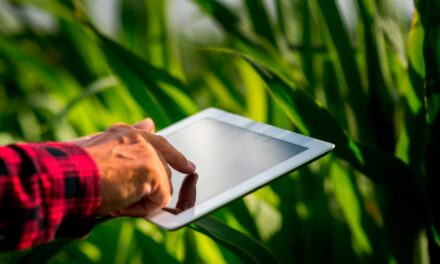 Como o agronegócio pode se defender de ciberataques