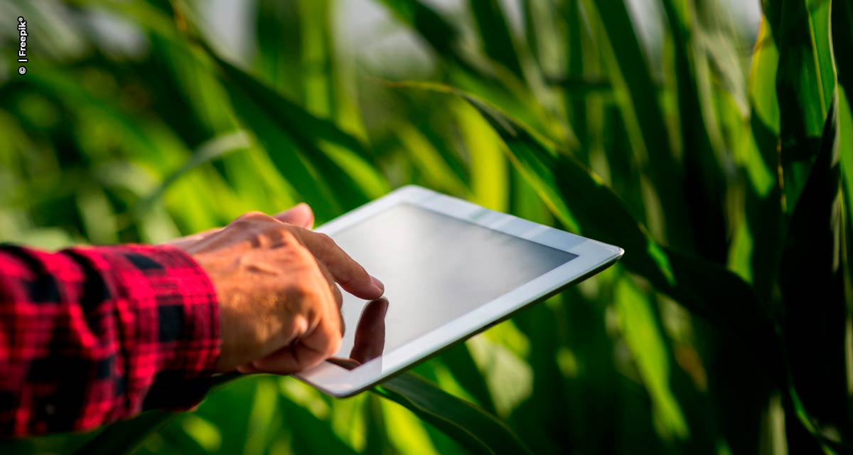 Como o agronegócio pode se defender de ciberataques