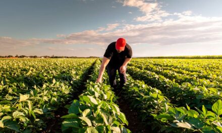 Nova série de podcasts BASF traz potencial de sustentabilidade e inovação dos adjuvantes para o mercado Agro