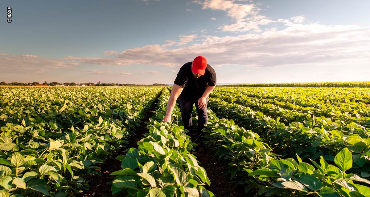 Nova série de podcasts BASF traz potencial de sustentabilidade e inovação dos adjuvantes para o mercado Agro