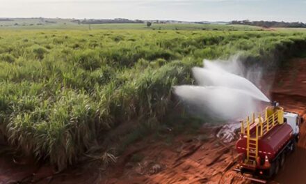 BP Bunge Bioenergia reduz 50% dos incêndios nos últimos 2 anos