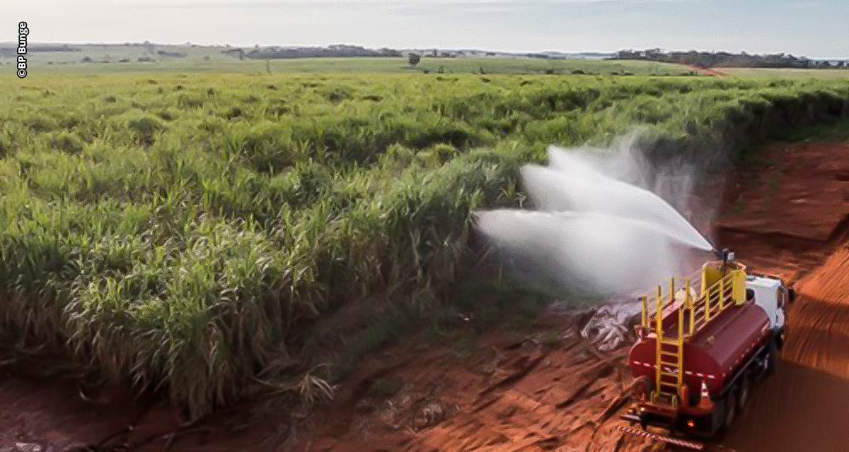 BP Bunge Bioenergia reduz 50% dos incêndios nos últimos 2 anos