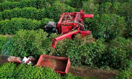 Cooxupé promove o 5º Fórum Café e Clima no dia 27 de julho