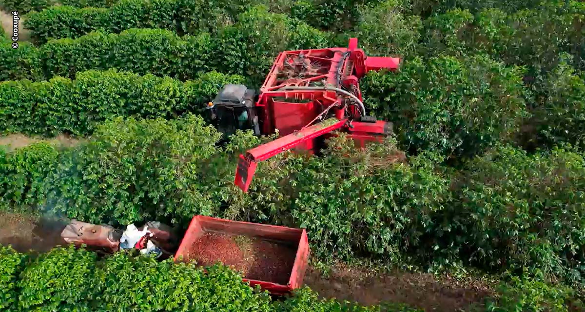 Cooxupé promove o 5º Fórum Café e Clima no dia 27 de julho