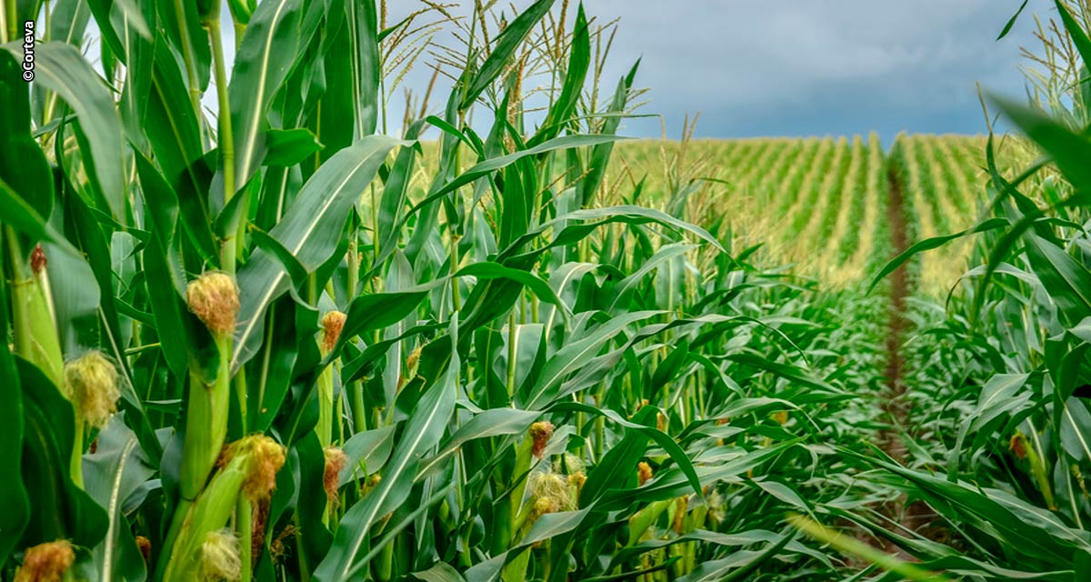 Corteva Agriscience participa do Siconbiol 2023 com soluções biológicas para o manejo das principais culturas agrícolas