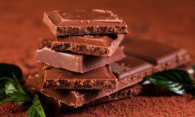 Dia Mundial do Chocolate: A importância do Cacau na nossa Economia.