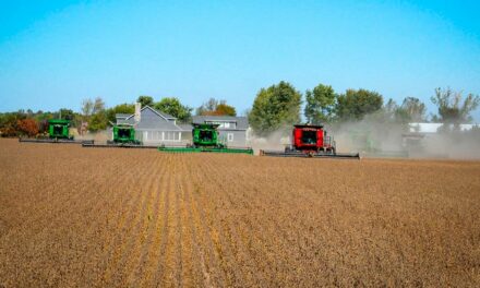 Semana da Agricultura e agronegócio em expansão: Brasil registra superávit recorde de US＄ 74 bilhões no primeiro semestre