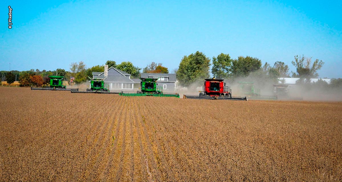 Semana da Agricultura e agronegócio em expansão: Brasil registra superávit recorde de US＄ 74 bilhões no primeiro semestre