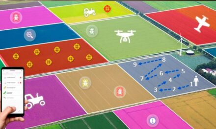 Geotecnologia aplicada na agricultura gera dados cada vez mais precisos