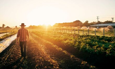 Dia do Agricultor: a importância do profissional para a economia do país