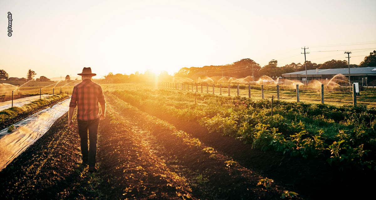 Dia do Agricultor: a importância do profissional para a economia do país